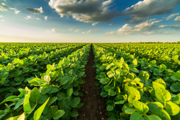 Jenis Bidang Usaha: Menemukan Ragam Peluang Bisnis