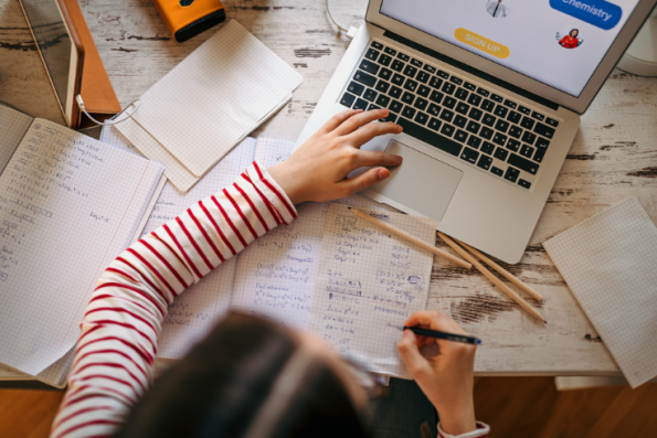 Jenis Bidang Usaha: Menemukan Ragam Peluang Bisnis