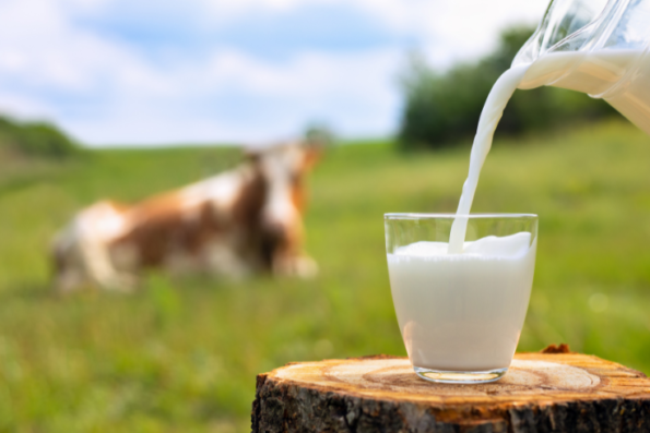 26 Ide Bisnis Unik yang Cocok Dititip di Warung, Dijamin Laris Manis!