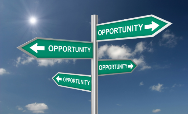 Jenis Bidang Usaha: Menemukan Ragam Peluang Bisnis