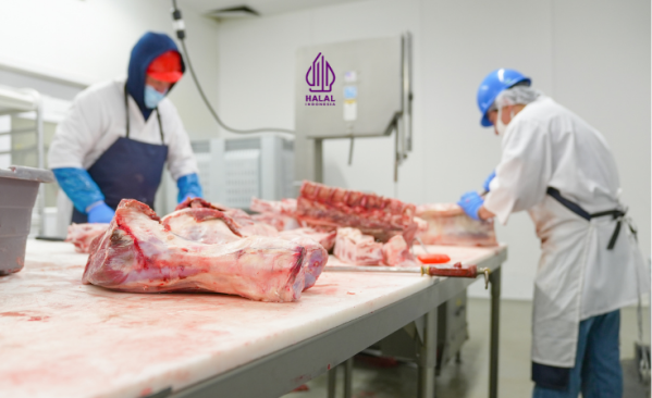 Rumah Potong Hewan Wajib Ada Sertifikat Halal
