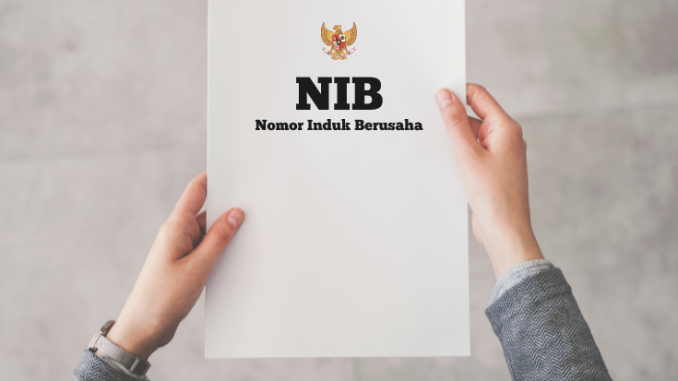 Mengenal NIB: Fungsi, Syarat, dan Proses Pembuatannya