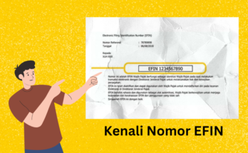 Kenali Nomor EFIN: Kunci Akses e-Filing Pajak Anda