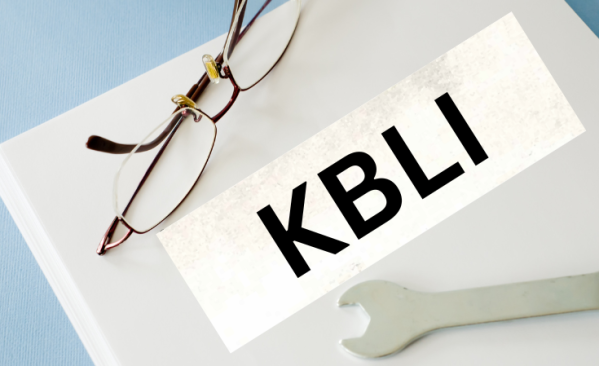 Cara Tepat Memilih KBLI untuk PT Perorangan Anda