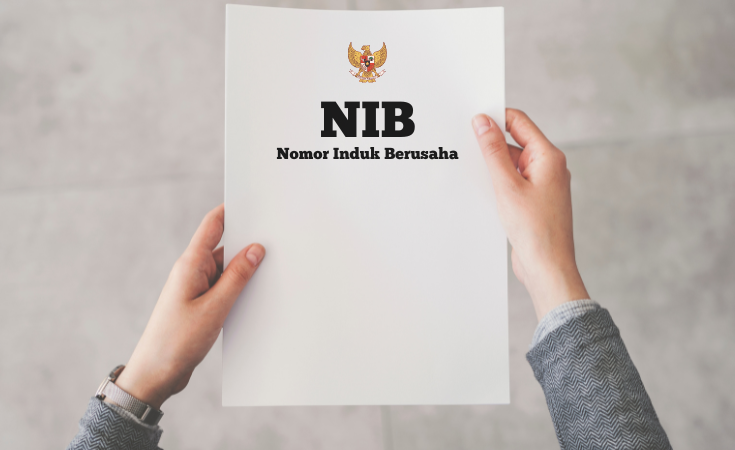 Mengenal NIB: Fungsi, Syarat, dan Proses Pembuatannya